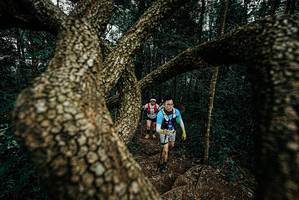 BIB: 
                            <button type="button" onclick="openModal(25700253)" class="btn btn-primary btn-sm float-right btn-popup" data-toggle="modal" data-target=".modal-high-quality">
                        <i class="fas fa-shopping-cart"></i> Add to Cart
                    </button>
                                            <button type="button" onclick="isThisMe(25700253, true)" class="btn btn-success btn-sm float-right btn-popup btn-isme hidden" data-toggle="tooltip" data-placement="bottom" title="นี่คือรูปของคุณใช่ไหม คลิกที่นี่เพื่อเอาเข้าอัลบั้ม">
                        <i class="fas fa-plus"></i> Add to album
                    </button>
                    <button type="button" onclick="isThisMe(25700253, false)" class="btn btn-warning btn-sm float-right btn-popup btn-isnotme hidden">
                        <i class="fas fa-ban"></i> Remove from album
                    </button>